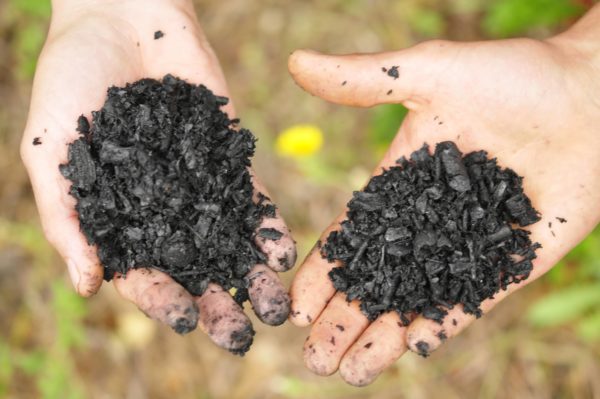 Comprar Biochar Livingchar