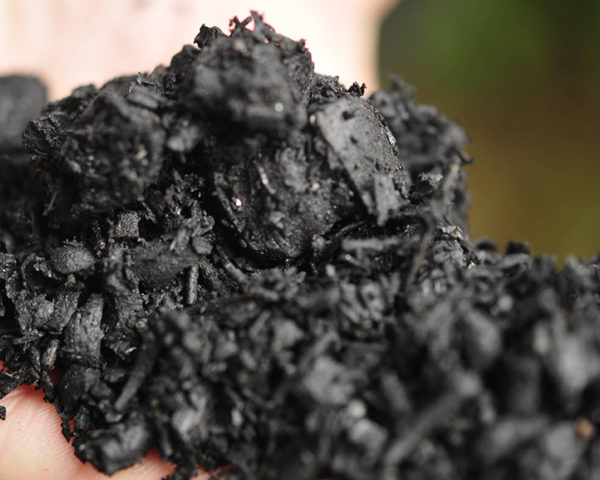 Biochar ayuda al mediambiente