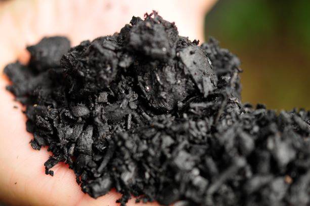 Biochar producido a partir de restos de poda