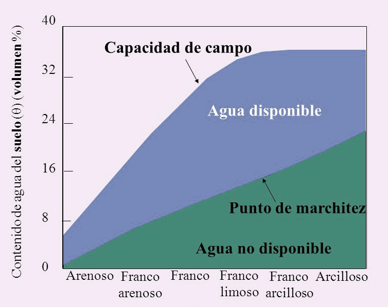Contenido agua del suelo 1
