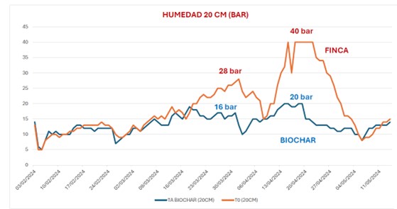 Humedad del suelo compost vs compost con biochar